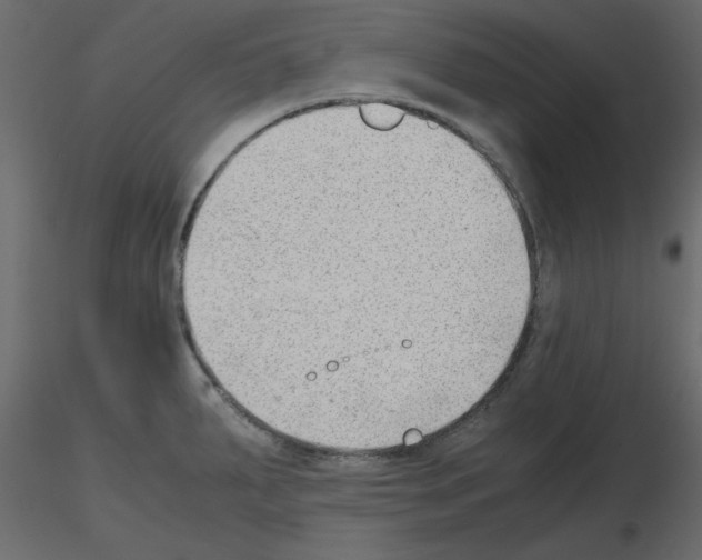 X0000115681287200912241433