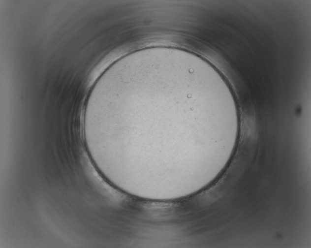 X0000115681290200912241433