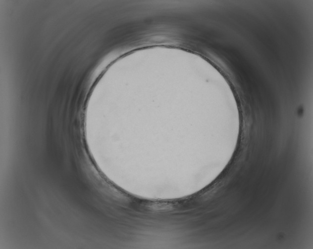 X0000115681291200912241433