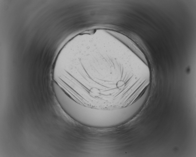 X0000115681292200912241433