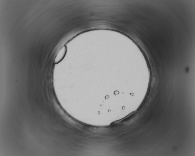 X0000115681293200912241433