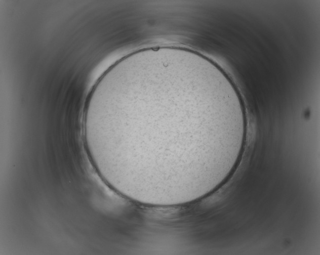 X0000115681294200912241433