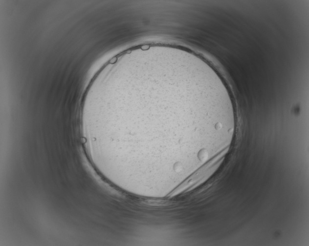 X0000115681295200912241433