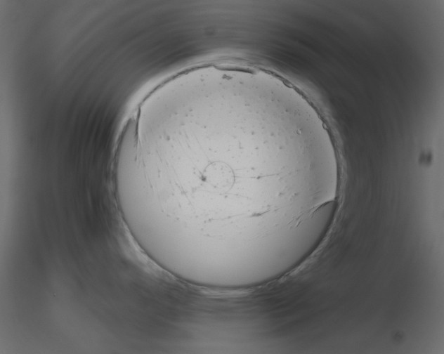 X0000115681296200912241433