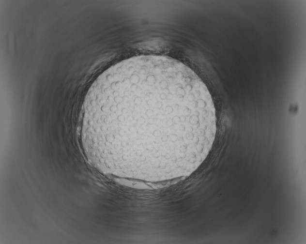 X0000115681297200912241432