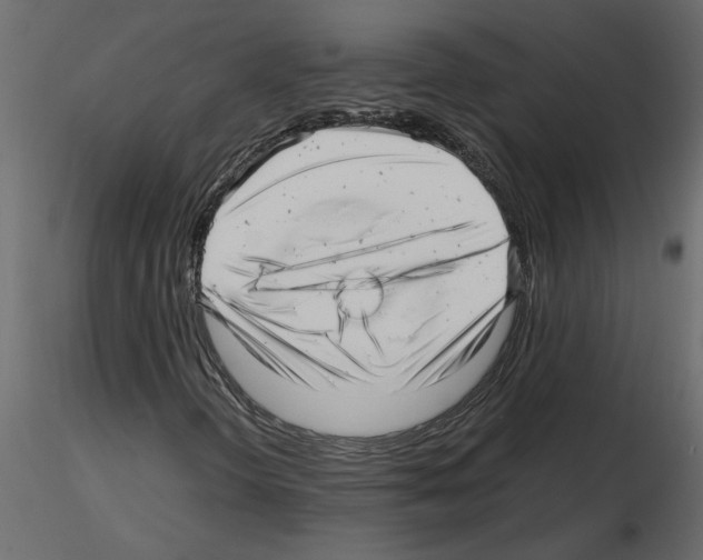 X0000115681298200912241432