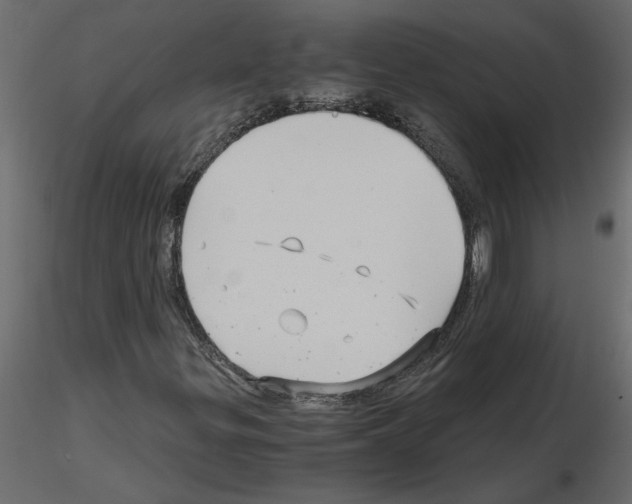 X0000115681299200912241432