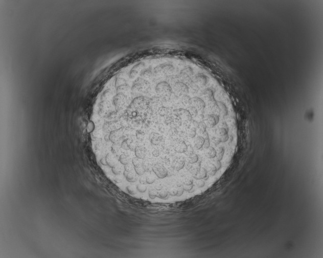 X0000115681302200912241432