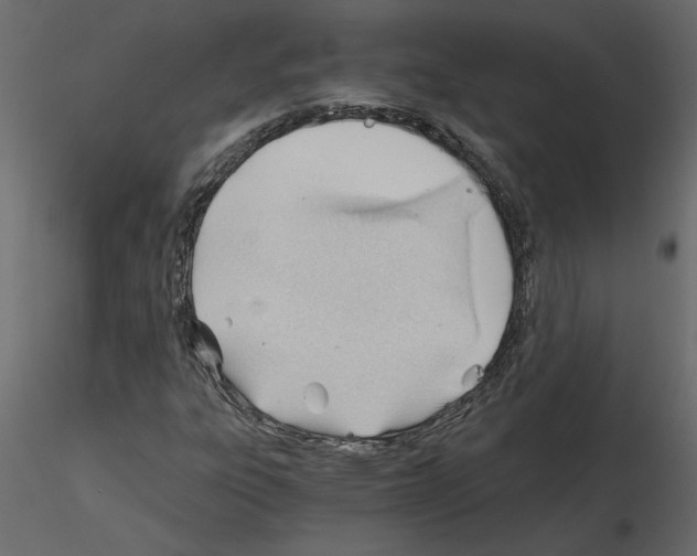 X0000115681303200912241432