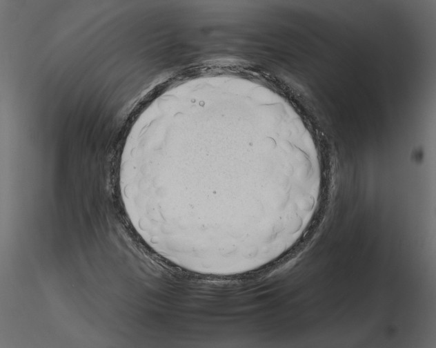 X0000115681305200912241432