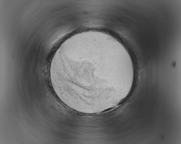 X0000115681306200912241432