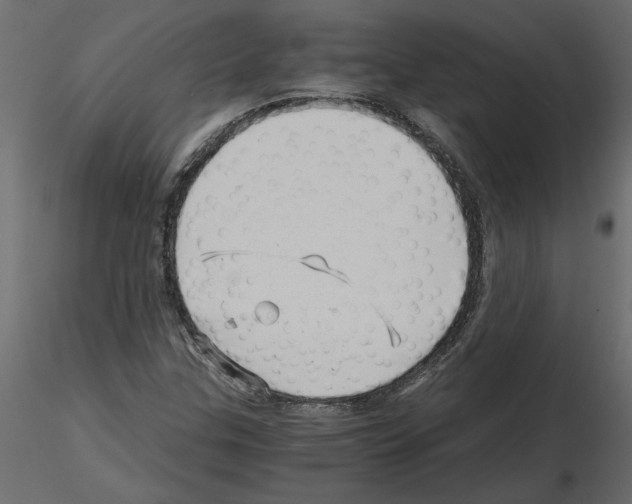 X0000115681307200912241432