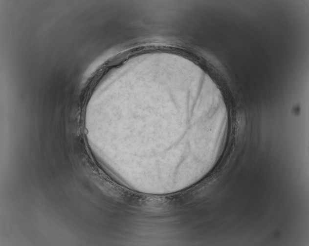 X0000115681310200912241432