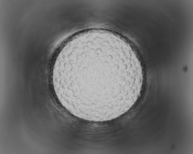 X0000115681311200912241432