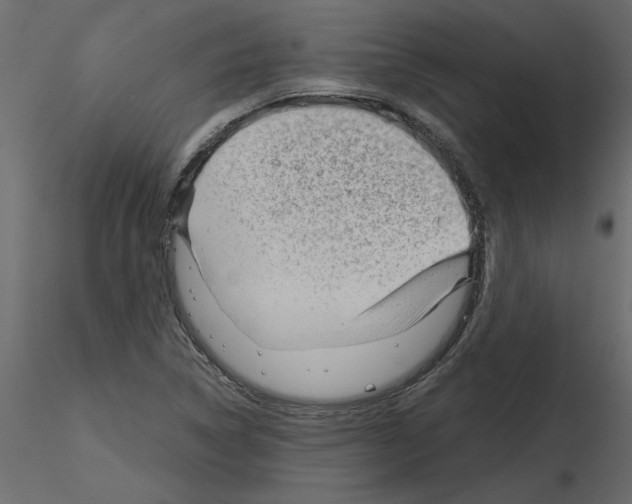 X0000115681314200912241432