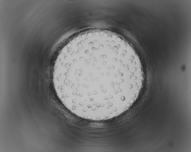 X0000115681315200912241432