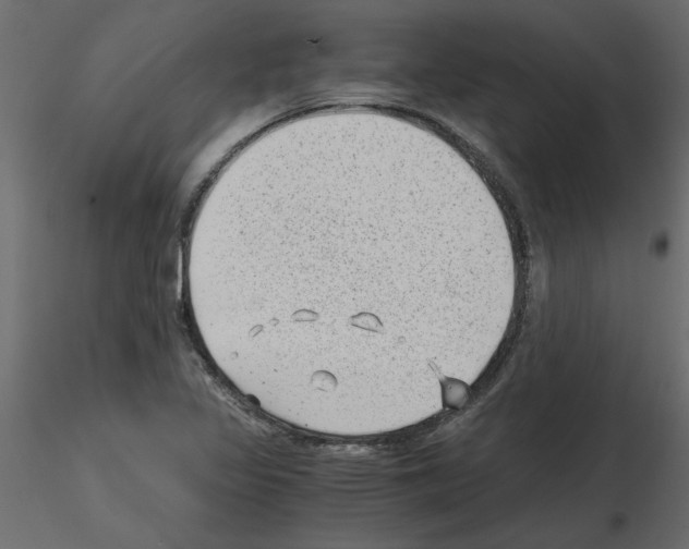 X0000115681317200912241432