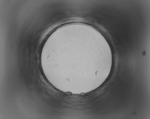 X0000115681318200912241432
