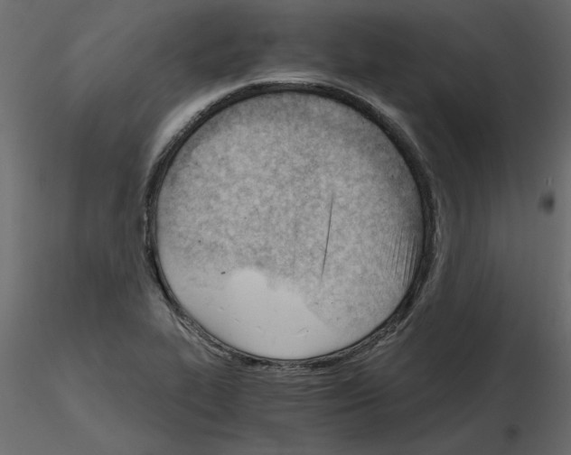 X0000115681319200912241432