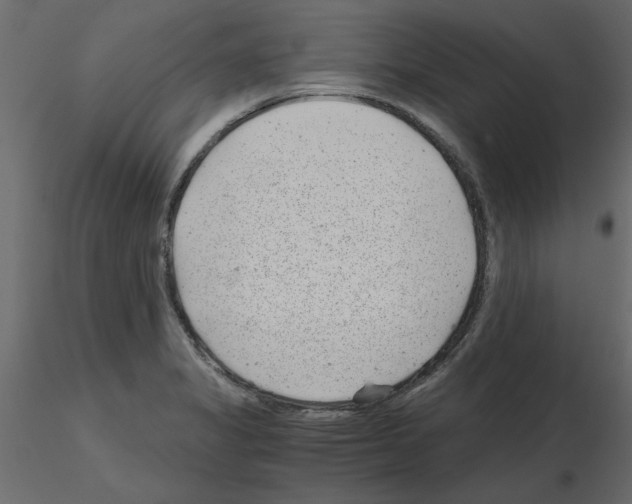 X0000115681325200912241432