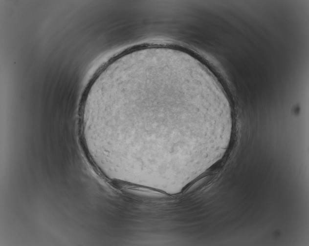 X0000115681327200912241432