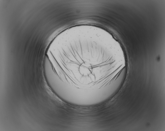 X0000115681330200912241432