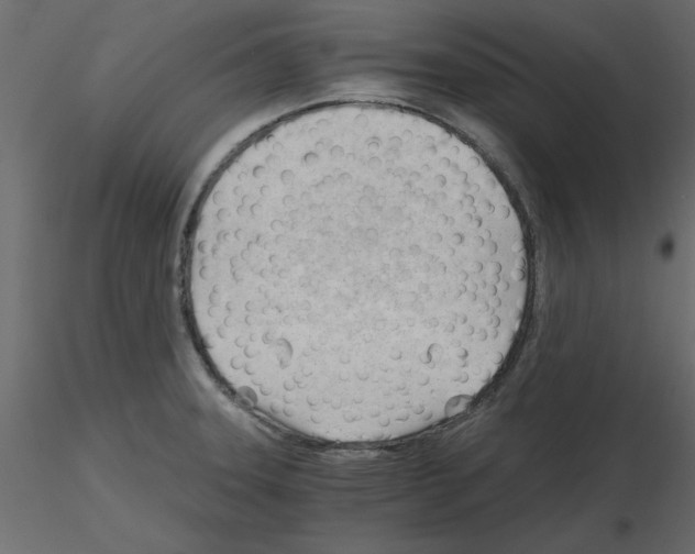X0000115681331200912241432