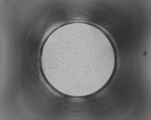X0000115681333200912241432