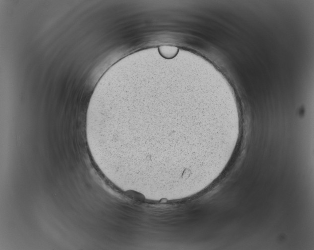 X0000115681337200912241432