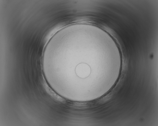 X0000115681338200912241432
