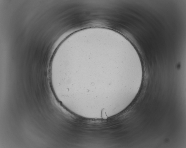 X0000115681339200912241433