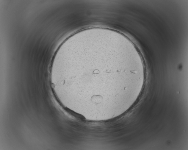 X0000115681341200912241433