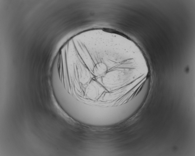 X0000115681342200912241433