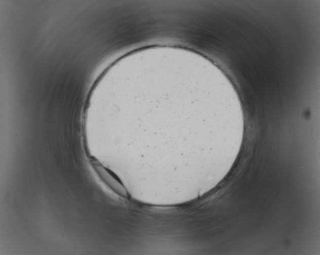 X0000115681343200912241433