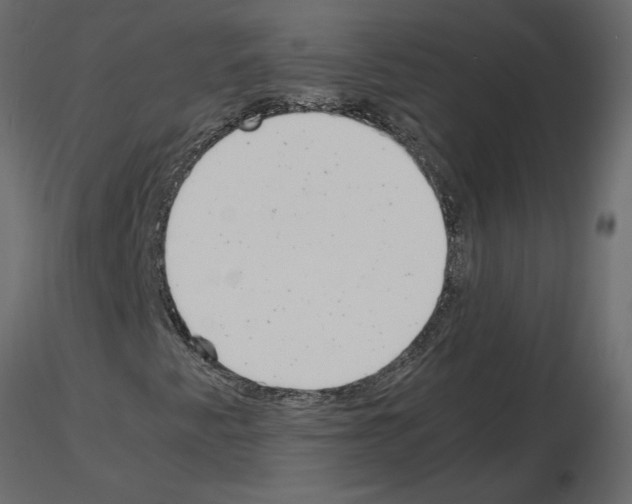X0000115681345200912241432