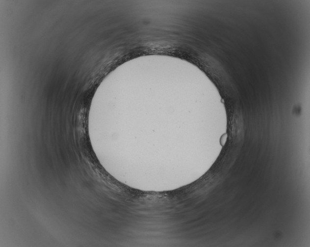 X0000115681346200912241432