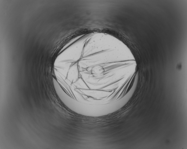 X0000115681348200912241432