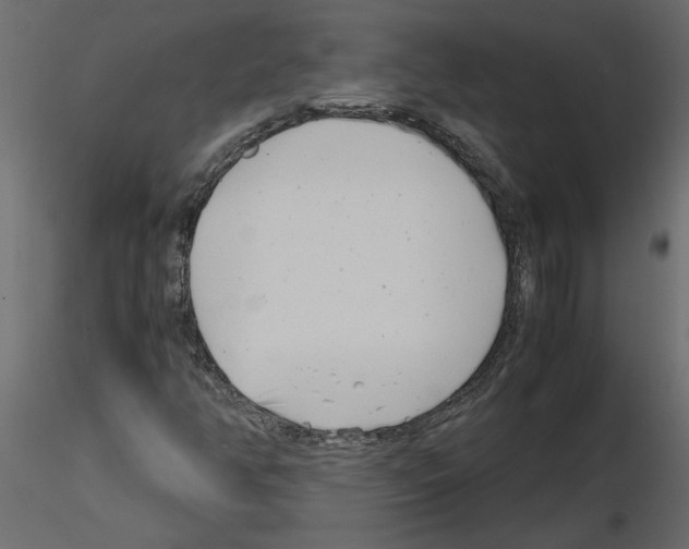 X0000115681350200912241432