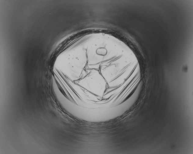 X0000115681352200912241432