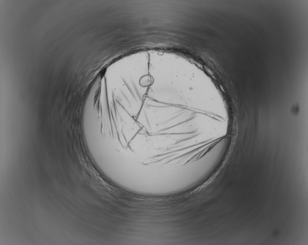 X0000115681353200912241432