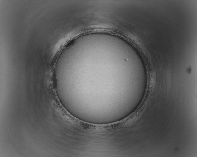 X0000115681357200912241432