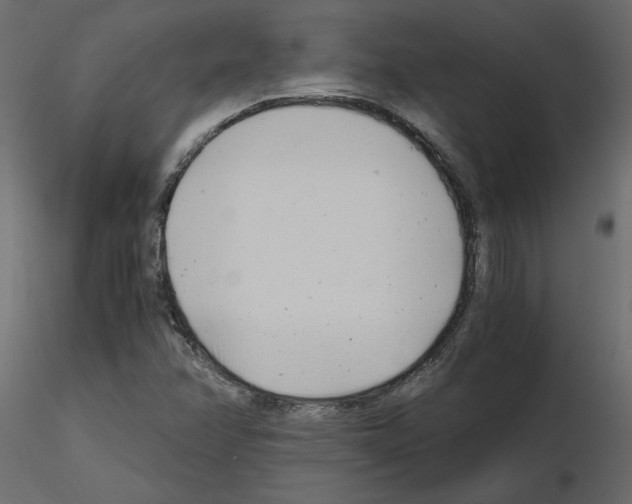 X0000115681358200912241432