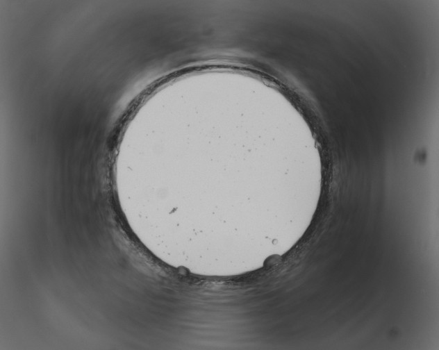 X0000115681360200912241432