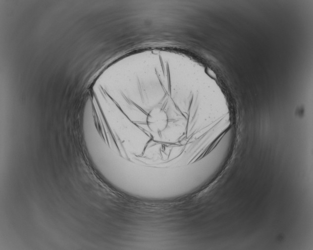 X0000115681361200912241432