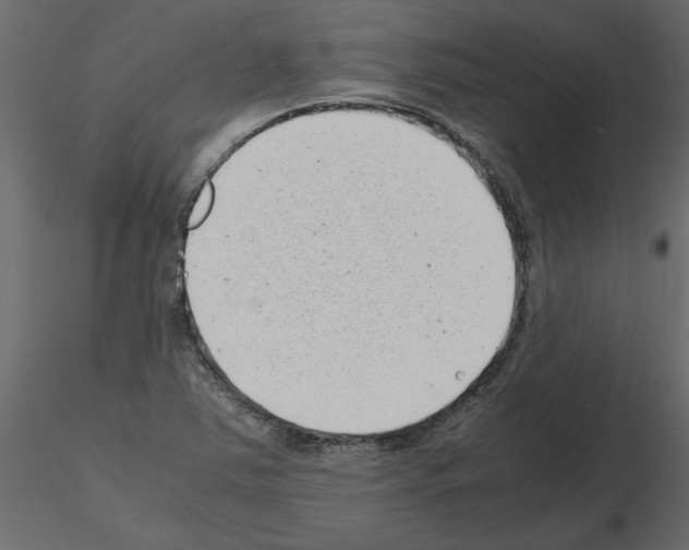 X0000115681363200912241432