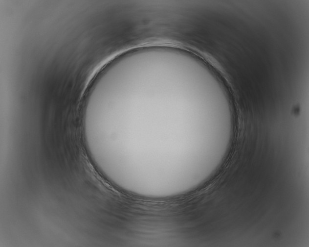 X0000115681364200912241432