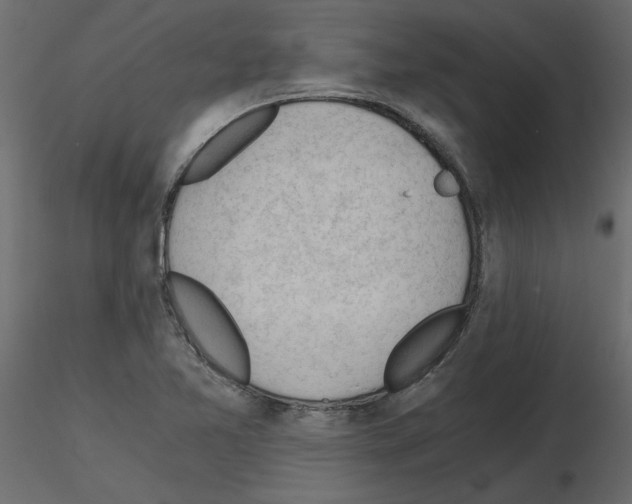 X0000115681365200912241432
