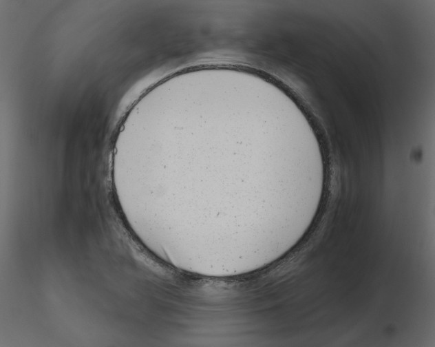 X0000115681366200912241432
