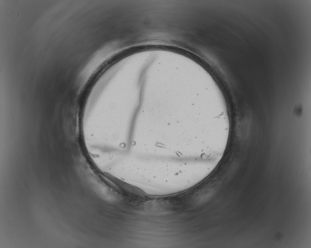 X0000115681368200912241432