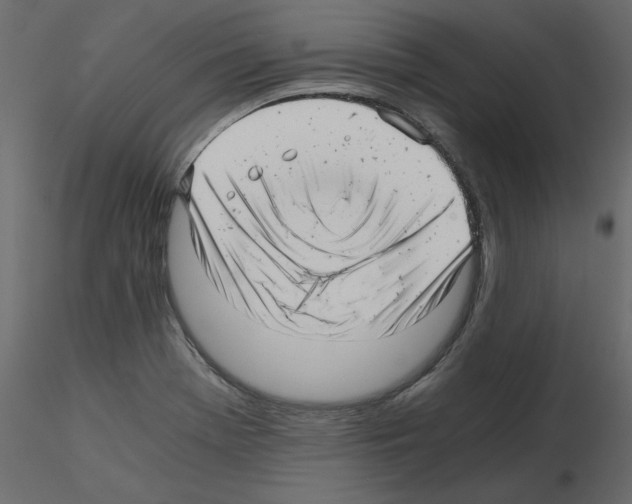 X0000115681369200912241432
